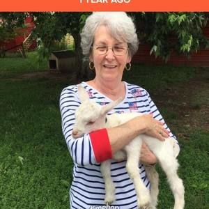 Meet your Posher, Patsy